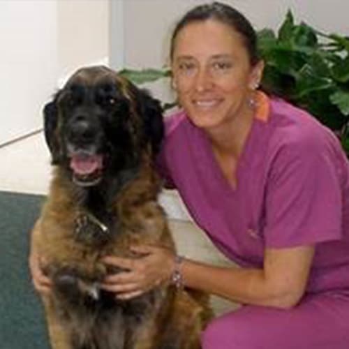 Dr. Signe Beebe, Burlington and Bellingham Veterinarian